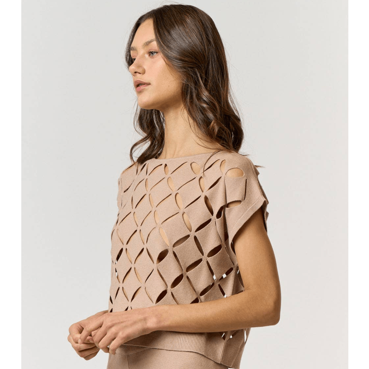 Cut Out Detail Short Sleeve Sweater in Taupe and Black